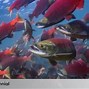 Apa Ikan Salmon Ada Di Indonesia